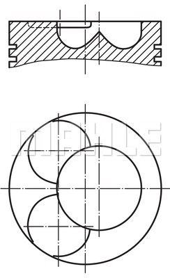 WILMINK GROUP Männät WG1212458